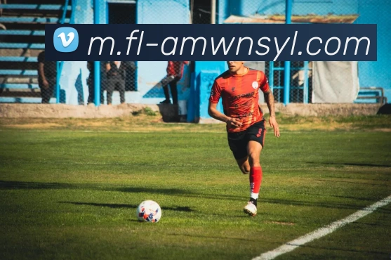 威尼斯人官网发展历程